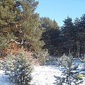 Gdynia Kacze Buki