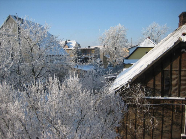 Zima z mojego okna 5-01-2009 rok