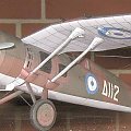 PZL P.24G
