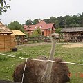 Traperska Osada COUNTRY Bolechówko-Owińska 2007.07 #CountryTraperskaOsadaKonie