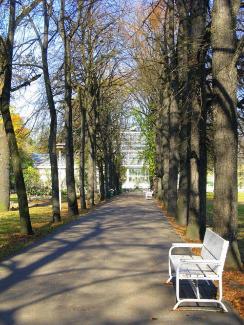#Poznań #ParkWilsona #jesień