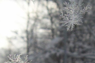 Mrozem malowane :) #zima #mróz #gwiazdki