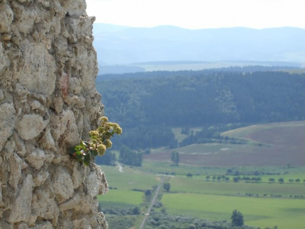 Zamek Spisski hrad na Słowacji (14)