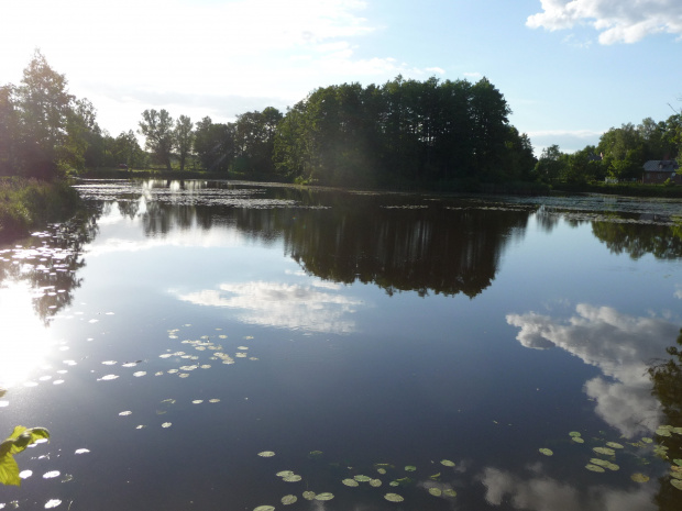 Białowieża