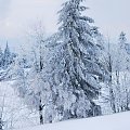 #zima #czechy #góry #śnieg #ZachódSłońca #drzewa