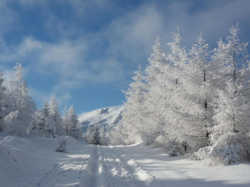 Białe Karkonosze to piękny widok :) #karkonosze #zima #krajobraz