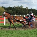 JARANTÓW 2008 Mistrzostwa Świata w Powożeniu Zaprzęgami Jednokonnymi