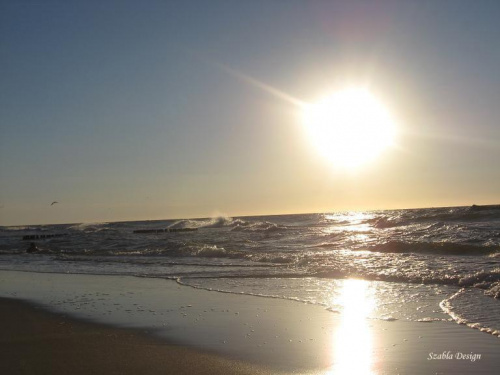 Żeby nie zwariować trzeba uciec w samotność.
Tylu nam ludzi podobnych
Wierzyło w świat idealny,
Dziś nie ma nic,
Sami jesteśmy na tej plaży.