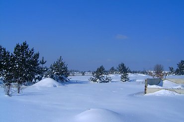 Zima w Osieku/k.Olkusza słoneczny dzionek #drzewa #działka #gladz #gładkośc #gładź #ŁadnyDzień #mroz #mróz #natura #niebo #piękno #pole #połac #slonce #słońce #snieg #spokój #szron #widok #zaspy #zima