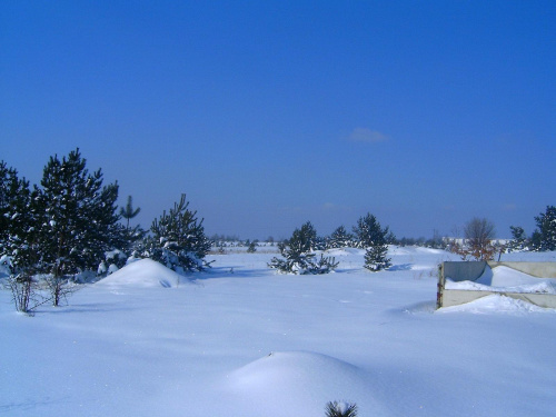 Zima w Osieku/k.Olkusza słoneczny dzionek #drzewa #działka #gladz #gładkośc #gładź #ŁadnyDzień #mroz #mróz #natura #niebo #piękno #pole #połac #slonce #słońce #snieg #spokój #szron #widok #zaspy #zima