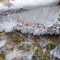 Całkiem zwykły szlak okazał się niezwykły :)
Stara Droga Izerska zamieniła się w górski potok,ciężko było zejść ale się udało,a i dzięki tej zmianie zdjęcia są z lodowymi pięknościami :) #GóryIzerskie #zima #lód #sople #woda