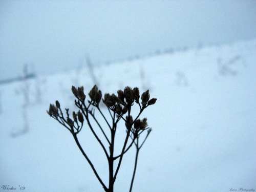 Winter 2009! ; )