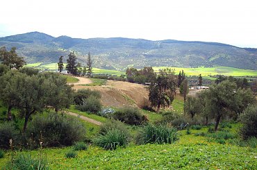 Volubilis - starożytne rzymskie miasto #Maroko #Volubilis