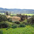 Volubilis - starożytne rzymskie miasto #Maroko #Volubilis