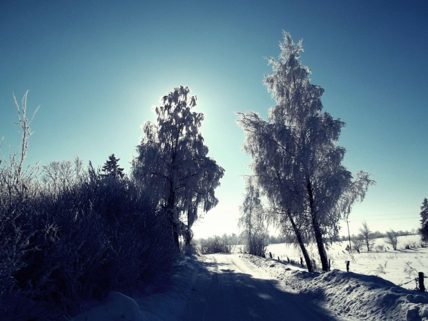 #widok #krajobraz #zima #śnieg #zimno #drzewa #szadź #mróz #przyroda
