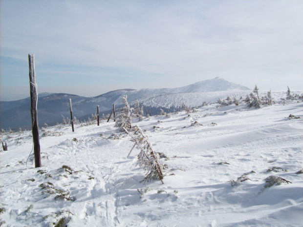 Ze Słonecznika można iść w dwóch kierunkach..albo na Przełęcz Karkonoską albo na Śnieżkę.. #karkonosze #zima #karpacz #góry
