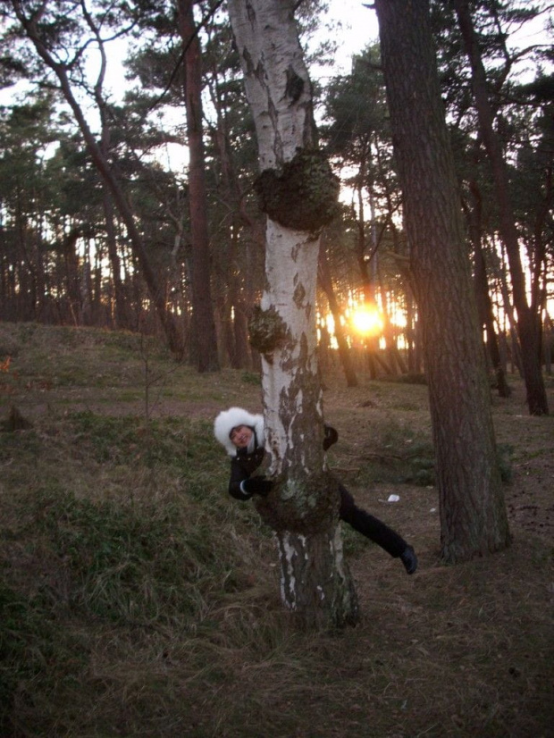 sanat_dabki