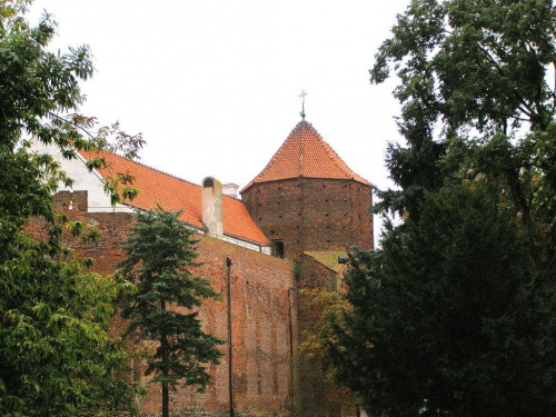 katedra w Płocku