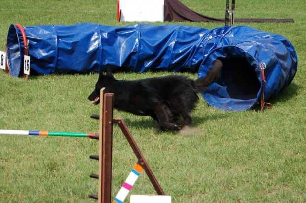 PP Agility Białystok 22.07.2007