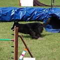 PP Agility Białystok 22.07.2007