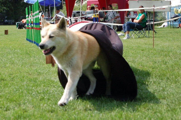 PP Agility Białystok 22.07.2007