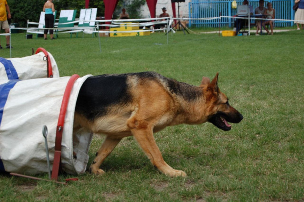 PP Agility Białystok 22.07.2007