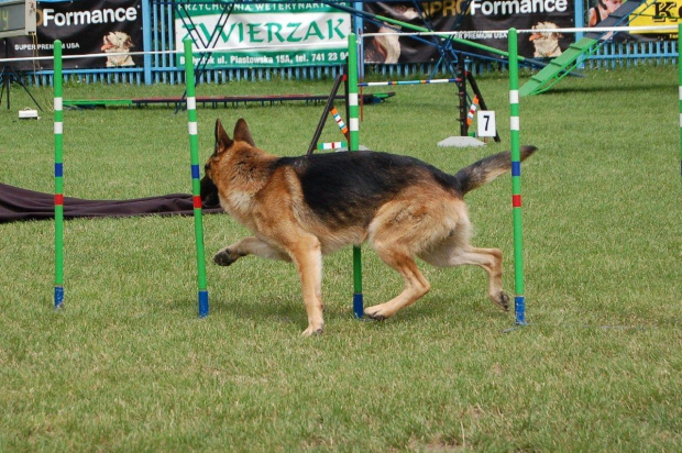 PP Agility Białystok 22.07.2007