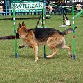 PP Agility Białystok 22.07.2007