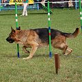 PP Agility Białystok 22.07.2007