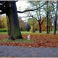 Trochę jesieni w Parku Miejskim - od kolorów można dostać zawrotu głowy! #jesień #WParku #Gdańsk #kolory #spacer