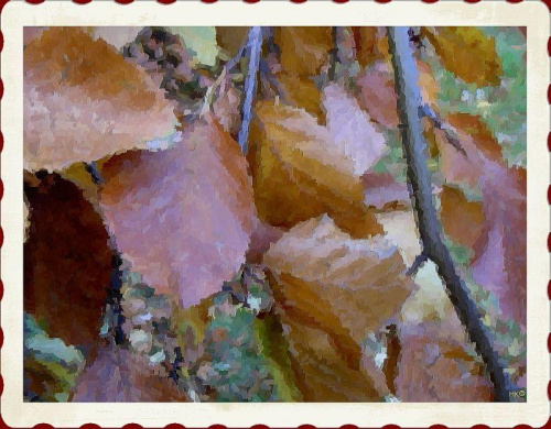 Pożegnać jesień ale inaczej #jesień #liście #rośliny #owoce #kolor #inaczej #namalowane