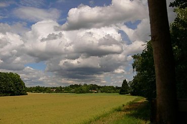 Znowu nadciagaja chmury , ale czy bedzie padac ? Jak to mowia z duzej chmury maly deszcz.... #chmury #laki