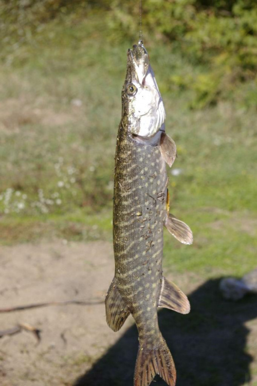 W tym miejscu najczęściej wędkuje i naj lepiej mi się wypoczywa