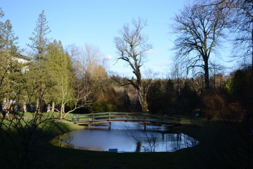 Park przy Pałacu Bismarcka w Warcinie