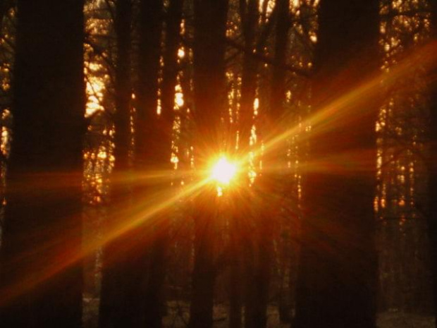 Zachód słońca.. W lesie na spacerku..