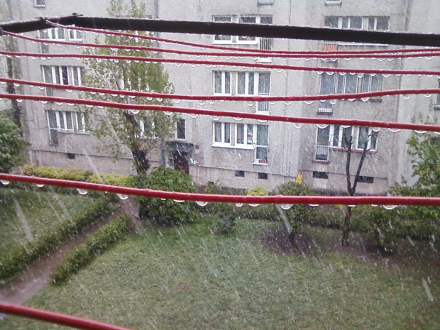 Zima czy wiosna? #Piotrków #święto #wiosna #zima