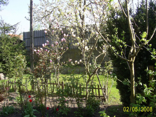 Mój ogródek :)