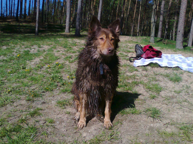 maj 2011 Stefan i labek córki Wioli