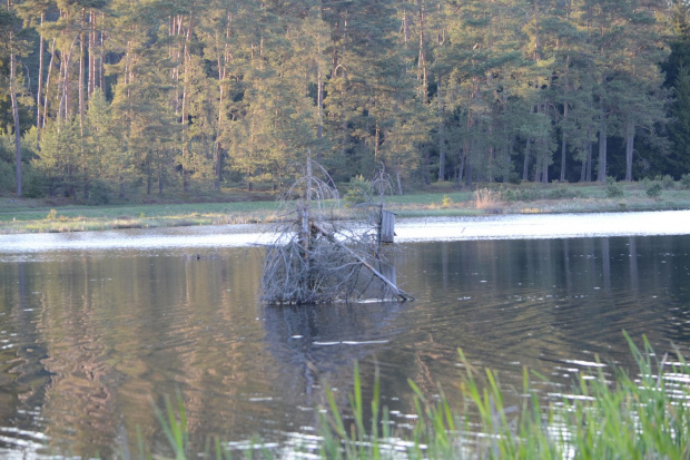 zbiornik retencyjny Bąkowo - niedaleko Słupska.