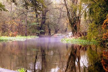 tęsknota... #klemensów #park