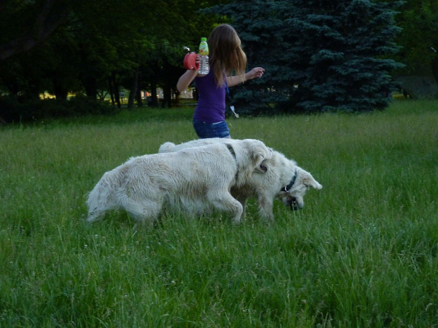 Brutus i Duffel, Park Bródnowski, 2011