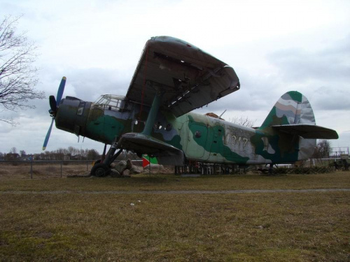 An-2, samolot