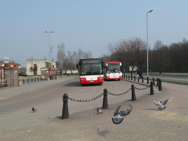 MAN EL283 #234 i Jelcz 120M/3 #294 (PKM Jastrzębie), Jastrzębie Zdrój, Arki Bożka.