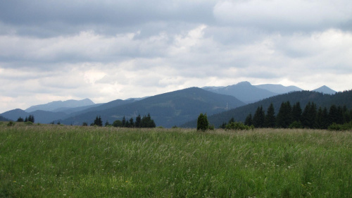 Równina Sworadu z pięknymi widokami na Tatry Zachodnie #GóryChoczańskie #DolinaProsiecka #DolinaKwaczańska