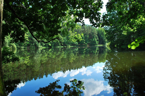 Lustrzana zatoczka - Jezioro Długie, Olsztyn